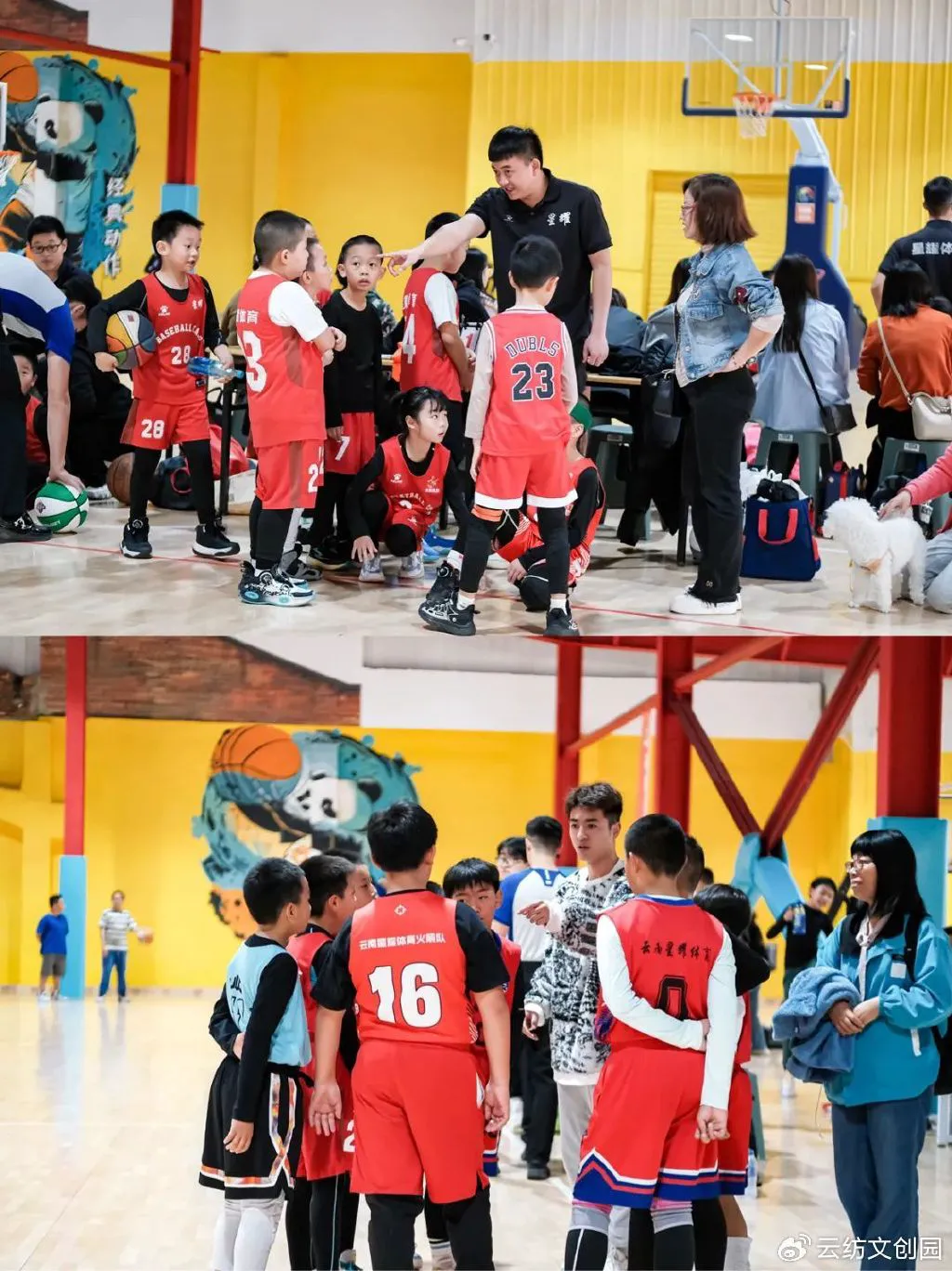 如何帮助青少年篮球运动员处理比赛中的情绪波动_2